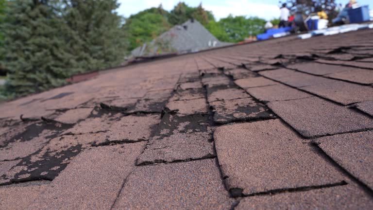Reliable Kirtland, OH Roofing Service Solutions